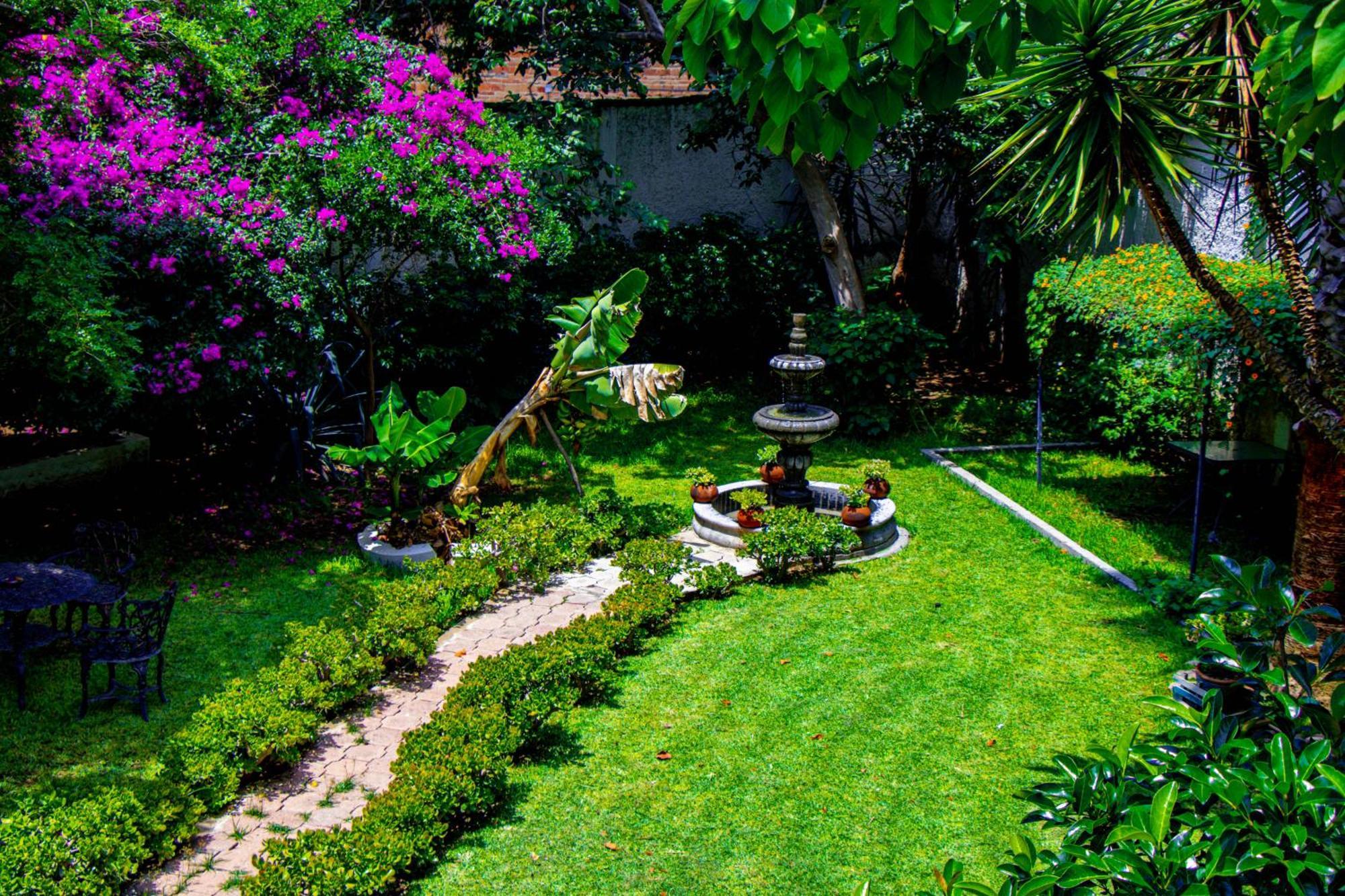 Posada Las Margaritas Tlaquepaque Exteriör bild