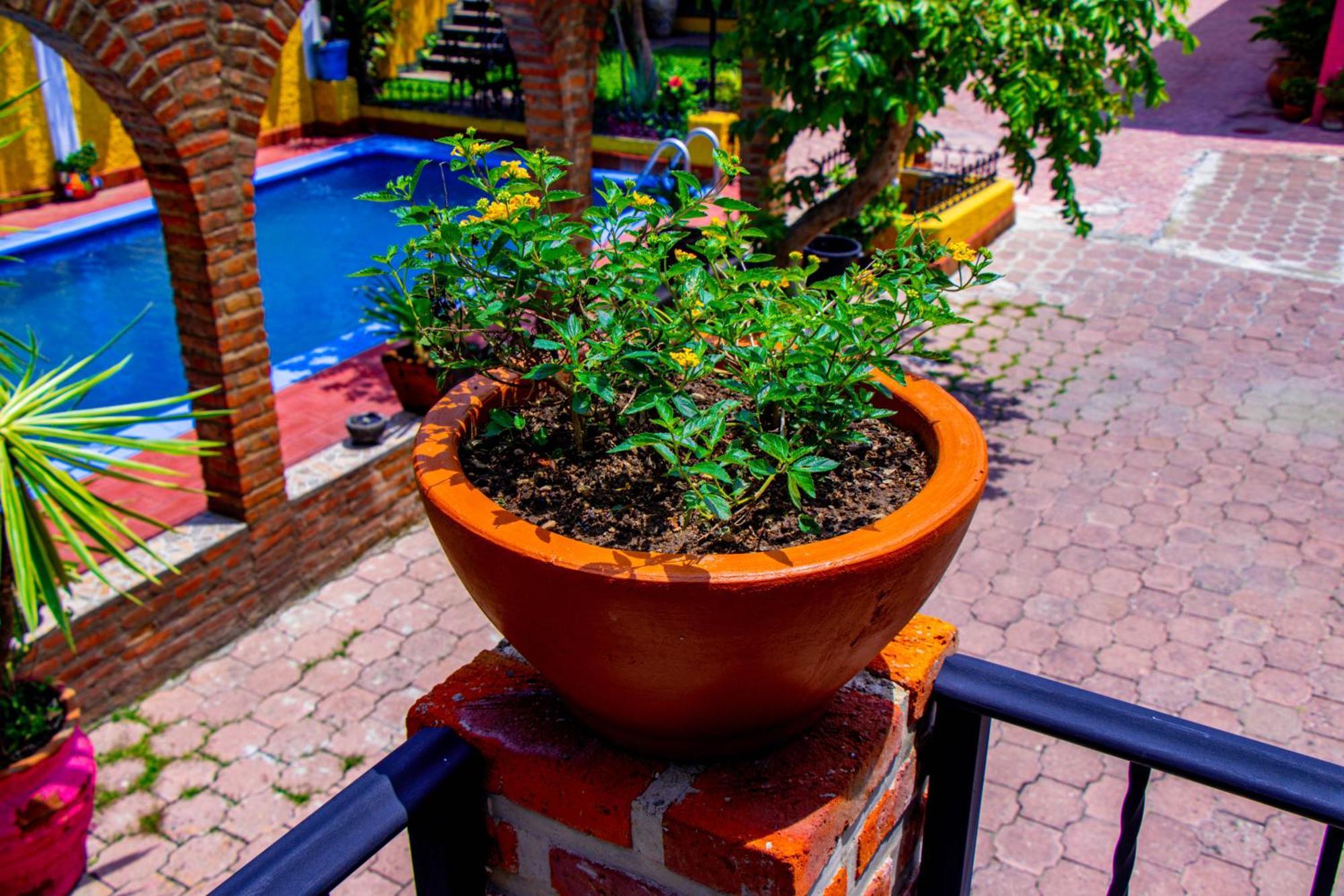 Posada Las Margaritas Tlaquepaque Exteriör bild